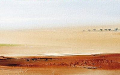 Técnica Mista - 'Alentejo' (28 X 120)